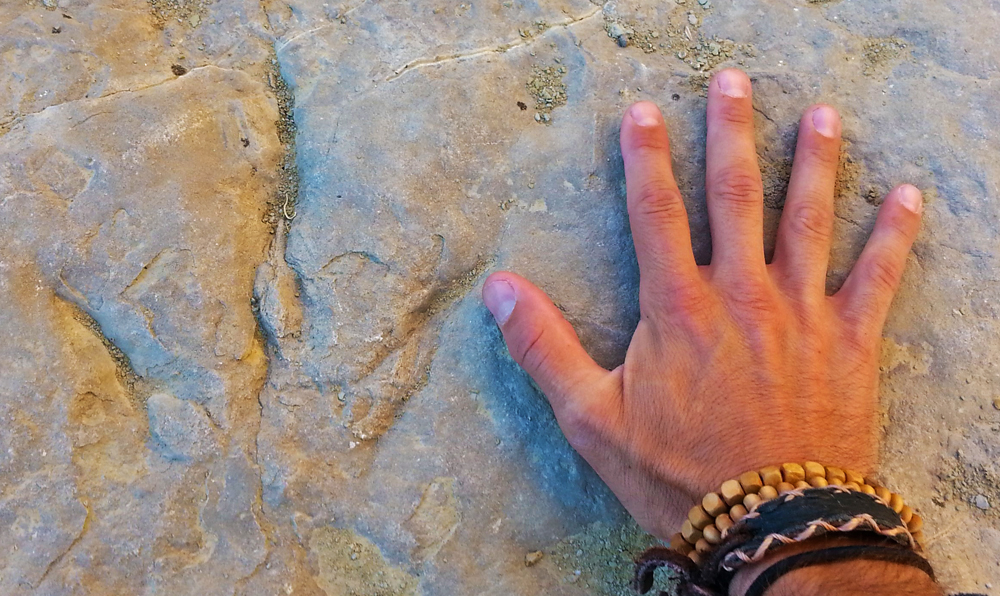 Chris Tarzan Clemens - Dinosaur Track
